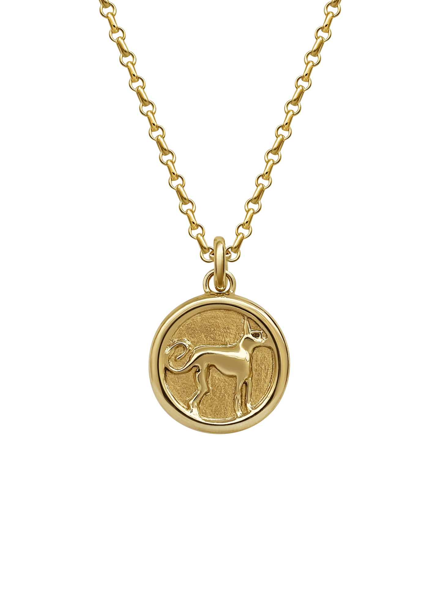 AMS x Laura Lombardi gold Protection Pendant