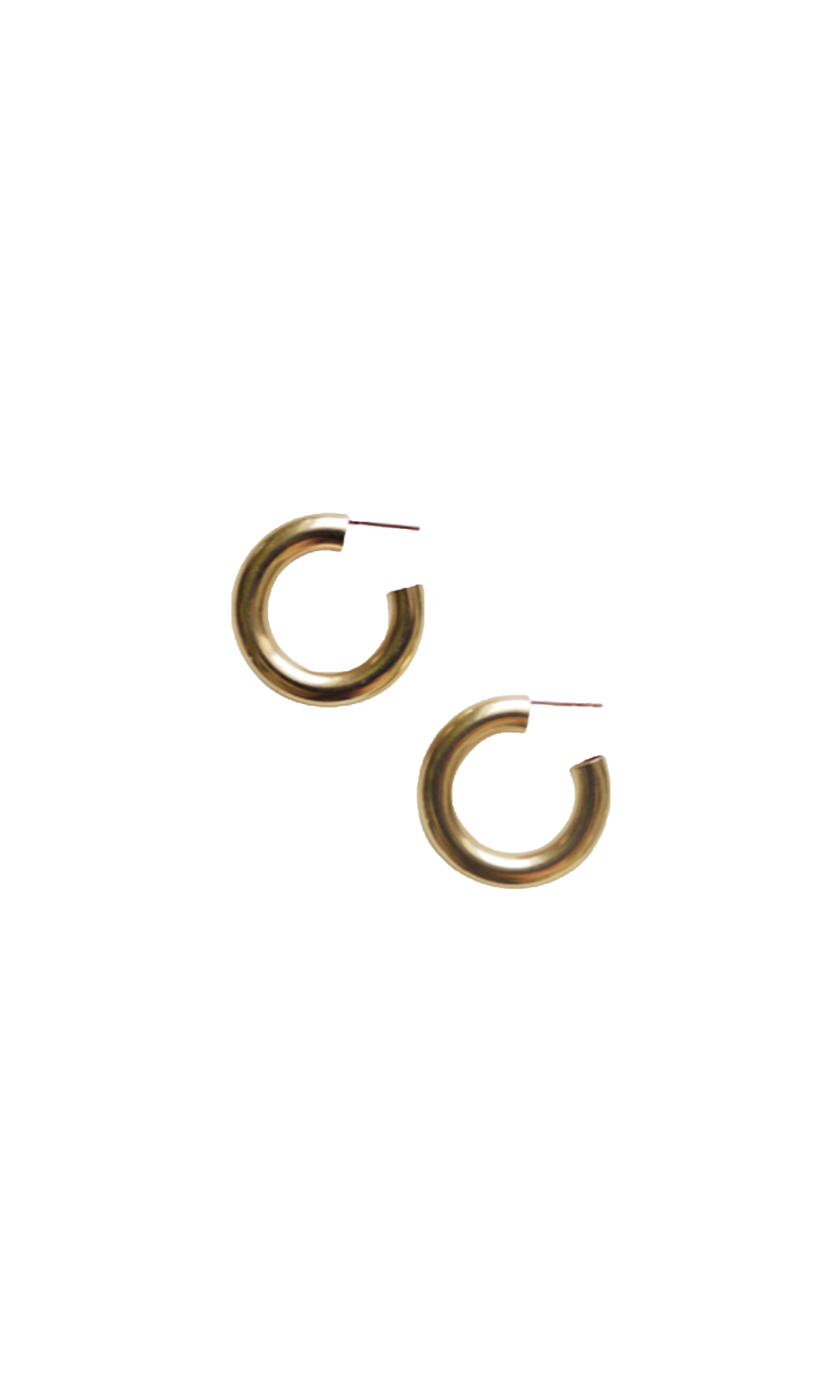 Laura Lombardi Gold Medium Hoop earrings