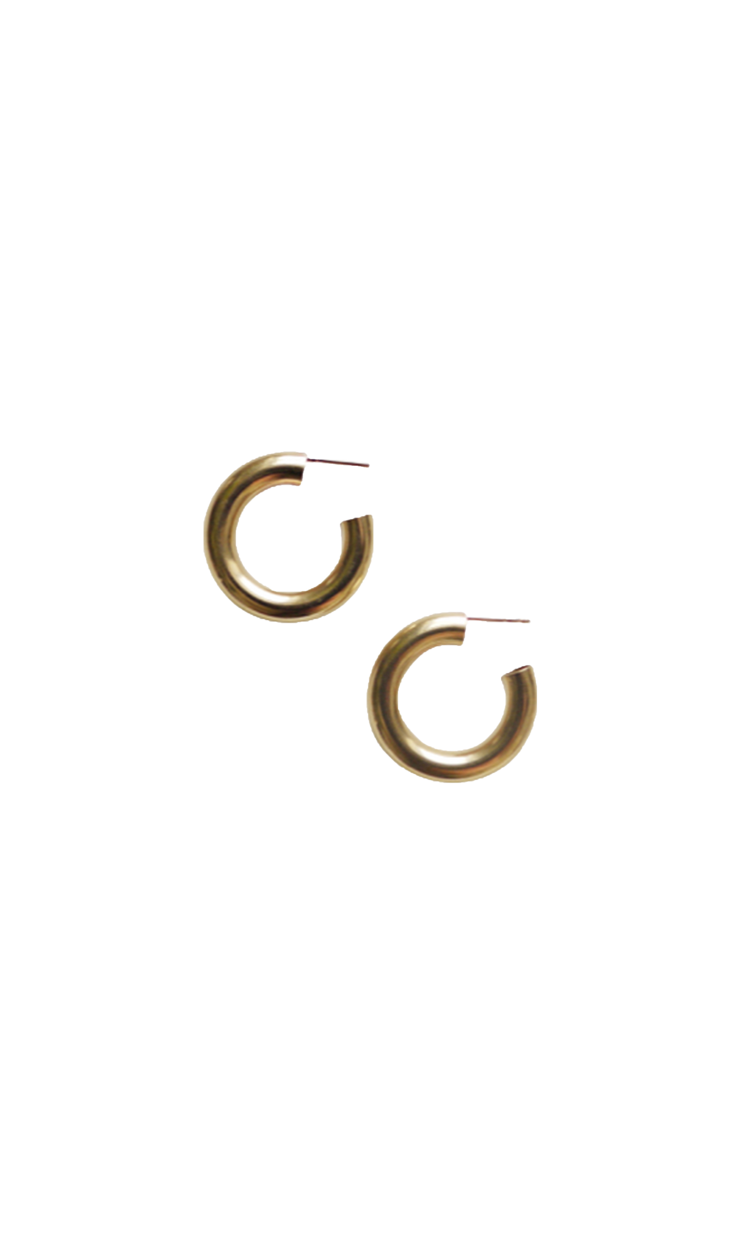 Laura Lombardi Gold Medium Hoop earrings